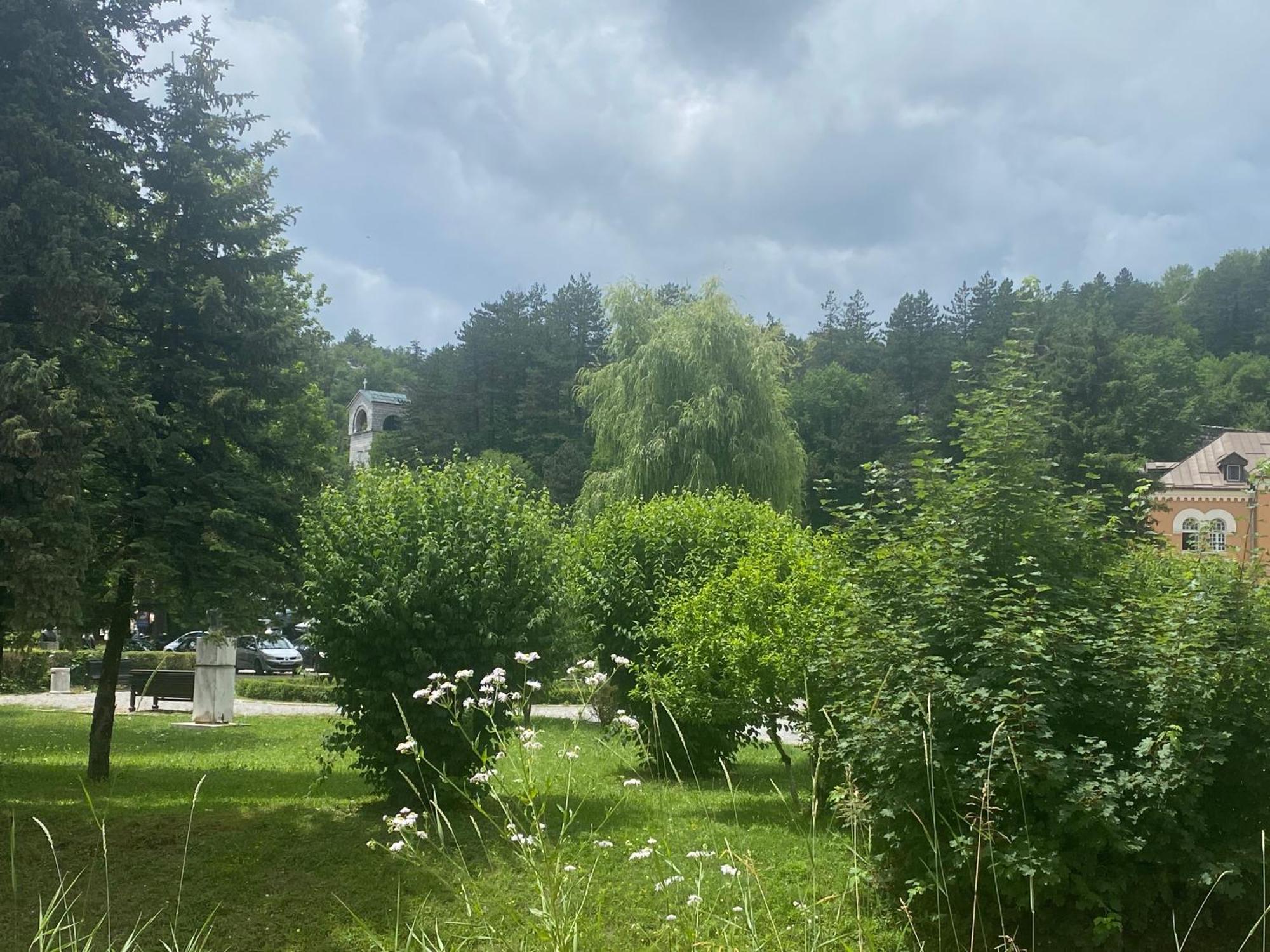Apartments Bokan Cetinje Exteriér fotografie